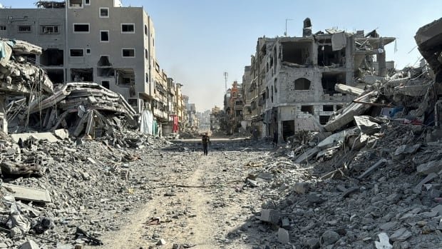 Israel has deliberately made northern Gaza unlivable, say Palestinians. What comes next?